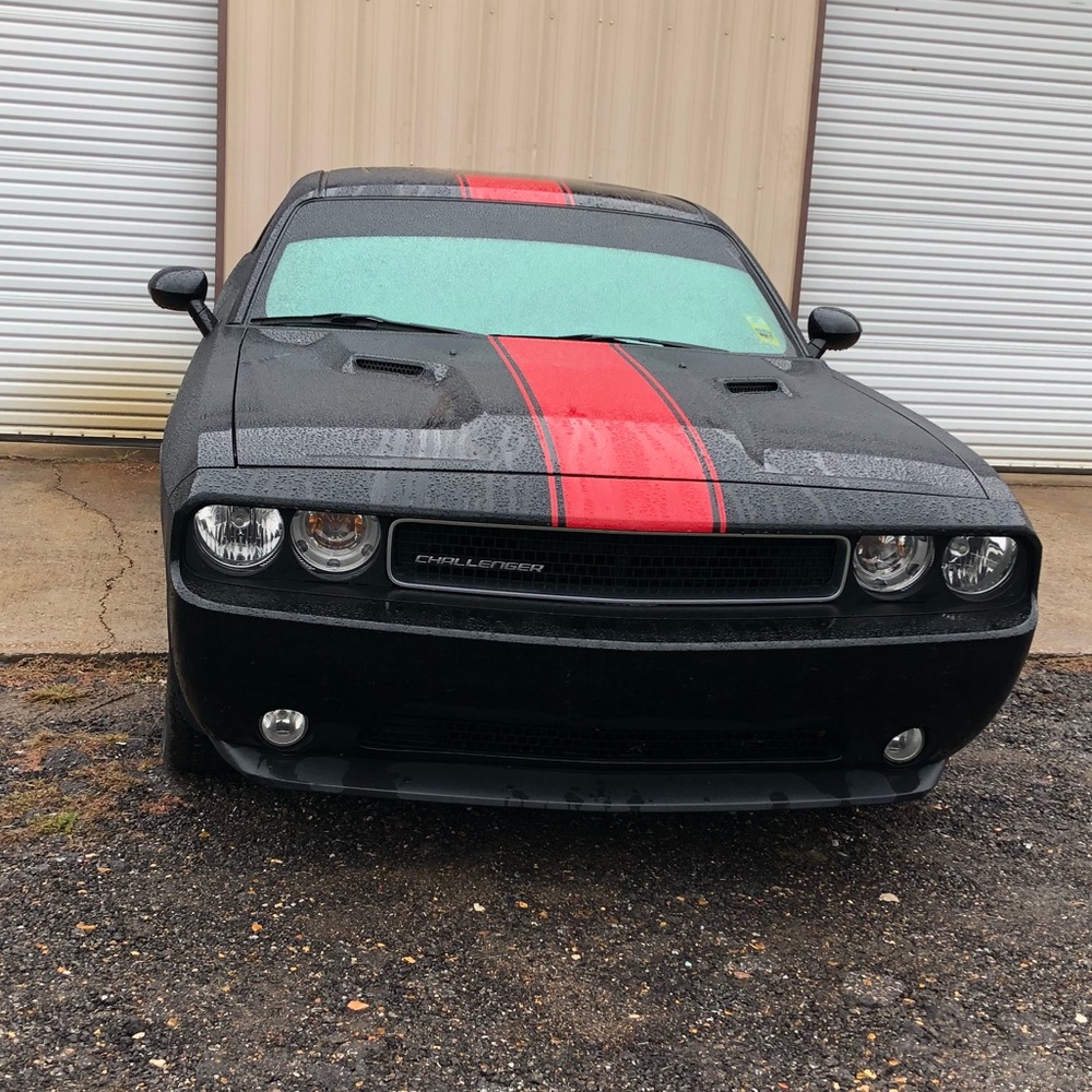 Meet your Posher, Tara